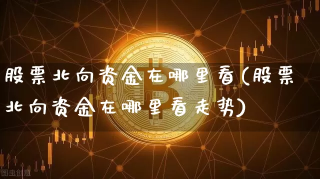 股票北向资金在哪里看(股票北向资金在哪里看走势)_https://www.jyywjc.com_股票行情_第1张