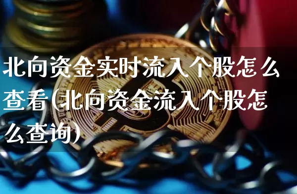 北向资金实时流入个股怎么查看(北向资金流入个股怎么查询)_https://www.jyywjc.com_股票行情_第1张
