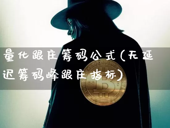 量化跟庄筹码公式(无延迟筹码峰跟庄指标)_https://www.jyywjc.com_股票价格_第1张