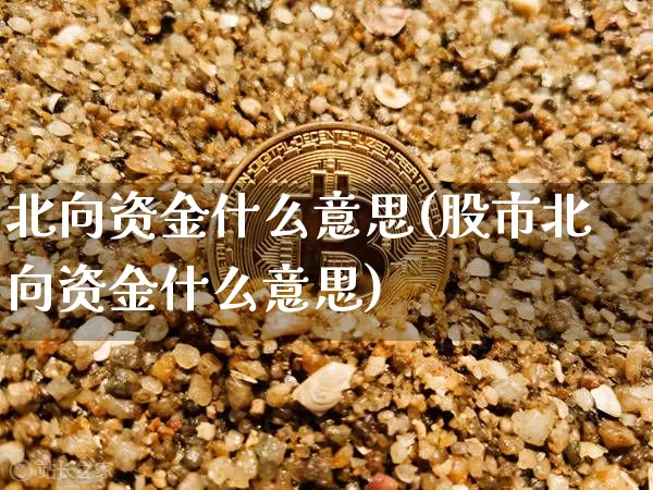 北向资金什么意思(股市北向资金什么意思)_https://www.jyywjc.com_股票趋势_第1张