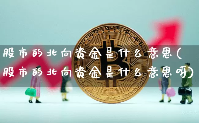 股市的北向资金是什么意思(股市的北向资金是什么意思呀)_https://www.jyywjc.com_股票_第1张