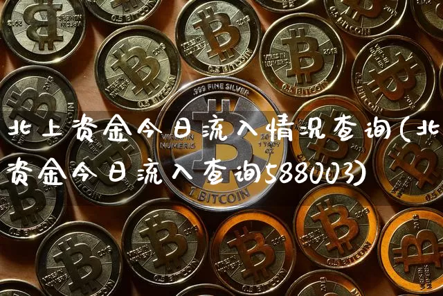 北上资金今日流入情况查询(北上资金今日流入查询588003)_https://www.jyywjc.com_股票行情_第1张