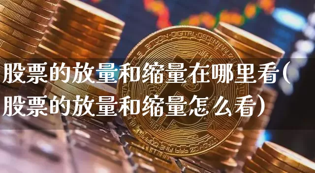 股票的放量和缩量在哪里看(股票的放量和缩量怎么看)_https://www.jyywjc.com_上交所_第1张