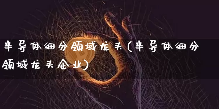 半导体细分领域龙头(半导体细分领域龙头企业)_https://www.jyywjc.com_股票趋势_第1张