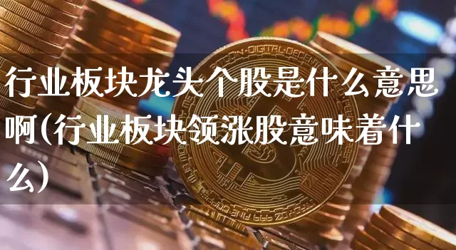 行业板块龙头个股是什么意思啊(行业板块领涨股意味着什么)_https://www.jyywjc.com_股票板块_第1张
