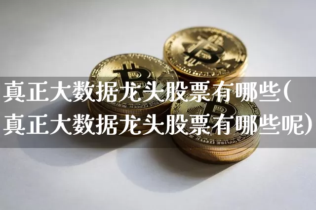 真正大数据龙头股票有哪些(真正大数据龙头股票有哪些呢)_https://www.jyywjc.com_股票_第1张