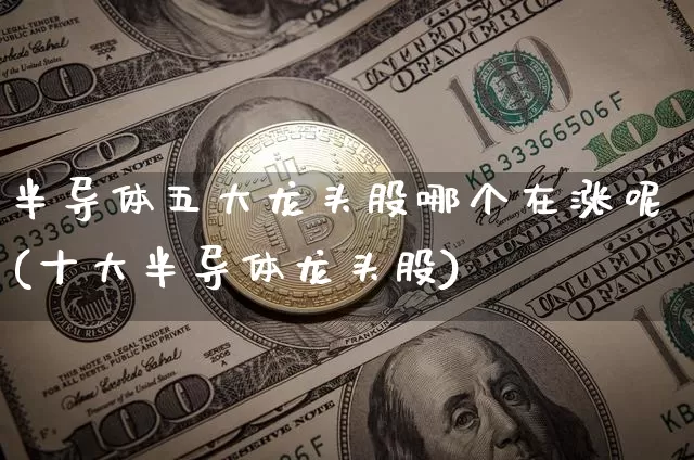 半导体五大龙头股哪个在涨呢(十大半导体龙头股)_https://www.jyywjc.com_股票趋势_第1张