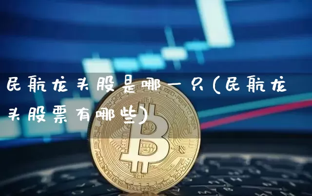 民航龙头股是哪一只(民航龙头股票有哪些)_https://www.jyywjc.com_股票_第1张