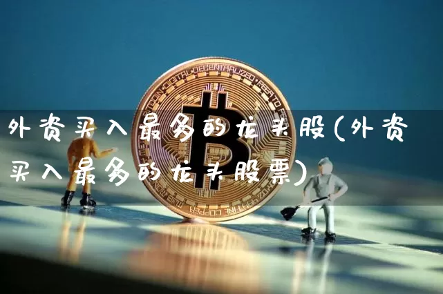外资买入最多的龙头股(外资买入最多的龙头股票)_https://www.jyywjc.com_股票趋势_第1张