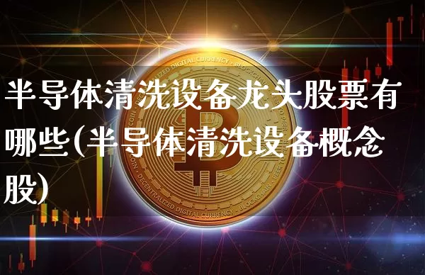 半导体清洗设备龙头股票有哪些(半导体清洗设备概念股)_https://www.jyywjc.com_股票行情_第1张