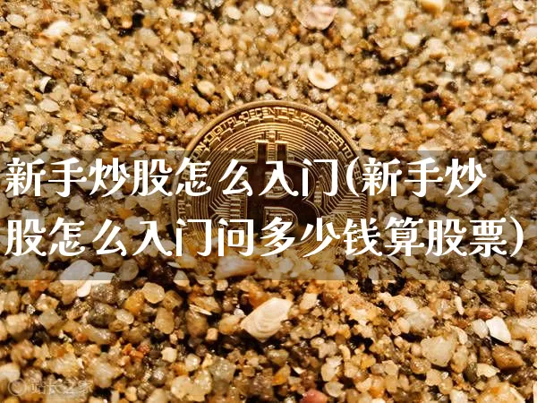 新手炒股怎么入门(新手炒股怎么入门问多少钱算股票)_https://www.jyywjc.com_股票趋势_第1张