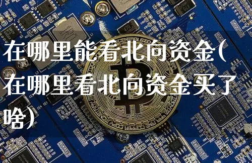在哪里能看北向资金(在哪里看北向资金买了啥)_https://www.jyywjc.com_股票_第1张