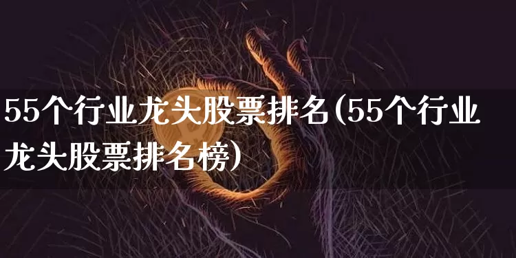 55个行业龙头股票排名(55个行业龙头股票排名榜)_https://www.jyywjc.com_股票板块_第1张