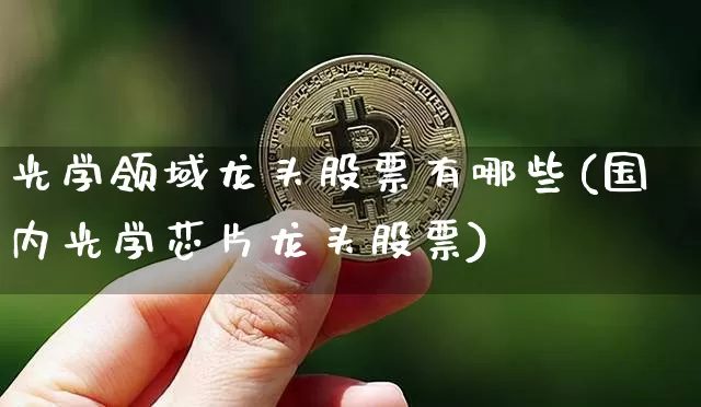 光学领域龙头股票有哪些(国内光学芯片龙头股票)_https://www.jyywjc.com_股票行情_第1张