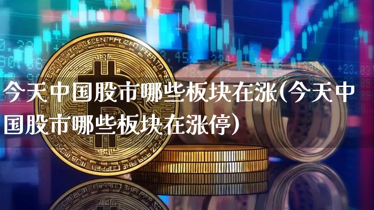 今天中国股市哪些板块在涨(今天中国股市哪些板块在涨停)_https://www.jyywjc.com_北交所_第1张