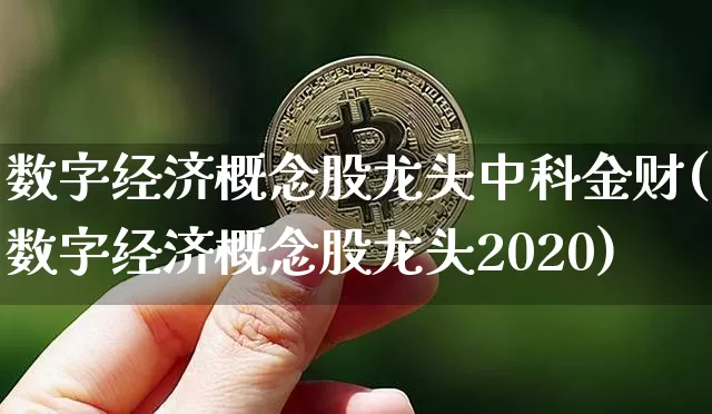 数字经济概念股龙头中科金财(数字经济概念股龙头2020)_https://www.jyywjc.com_上交所_第1张