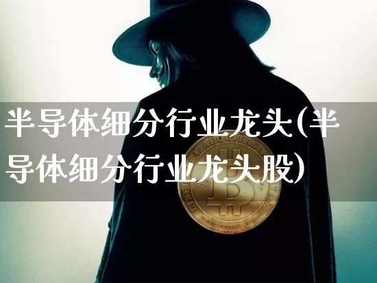 半导体细分行业龙头(半导体细分行业龙头股)_https://www.jyywjc.com_股票行情_第1张