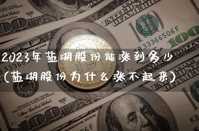 2023年盐湖股份能涨到多少(盐湖股份为什么涨不起来)_https://www.jyywjc.com_股票行情_第1张