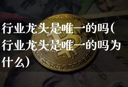 行业龙头是唯一的吗(行业龙头是唯一的吗为什么)_https://www.jyywjc.com_股票行情_第1张