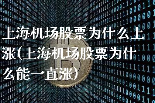 上海机场股票为什么上涨(上海机场股票为什么能一直涨)_https://www.jyywjc.com_股票价格_第1张