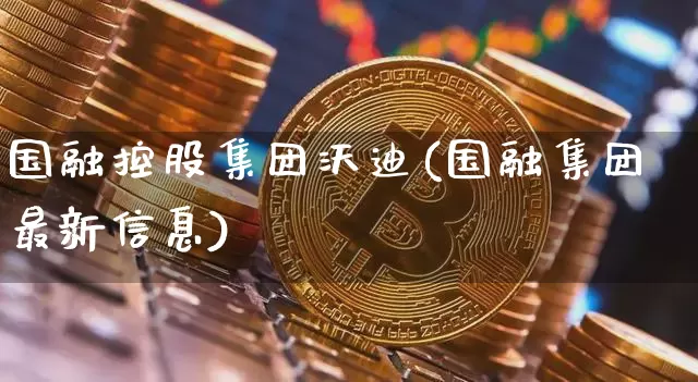 国融控股集团沃迪(国融集团最新信息)_https://www.jyywjc.com_股票板块_第1张