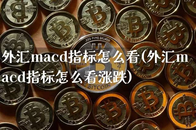 外汇macd指标怎么看(外汇macd指标怎么看涨跌)_https://www.jyywjc.com_股票_第1张