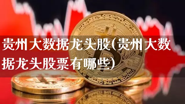 贵州大数据龙头股(贵州大数据龙头股票有哪些)_https://www.jyywjc.com_上交所_第1张