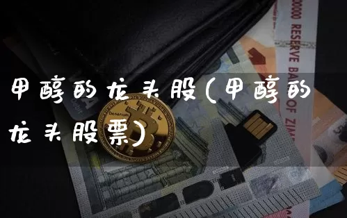 甲醇的龙头股(甲醇的龙头股票)_https://www.jyywjc.com_股票行情_第1张