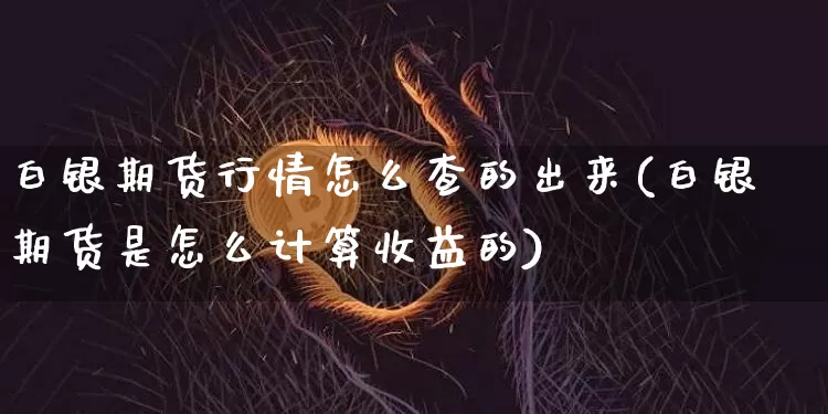 白银期货行情怎么查的出来(白银期货是怎么计算收益的)_https://www.jyywjc.com_股票_第1张