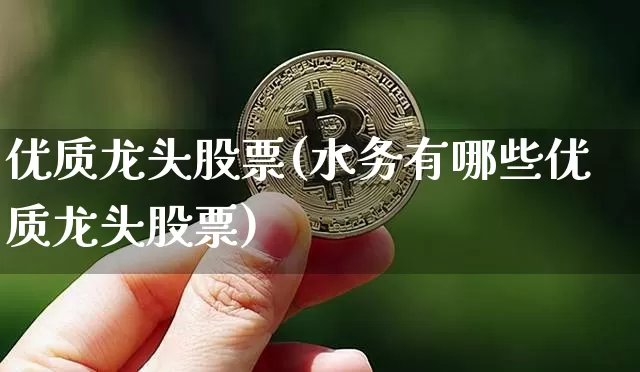优质龙头股票(水务有哪些优质龙头股票)_https://www.jyywjc.com_深交所_第1张