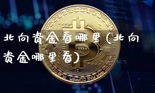 北向资金看哪里(北向资金哪里看)_https://www.jyywjc.com_股票板块_第1张