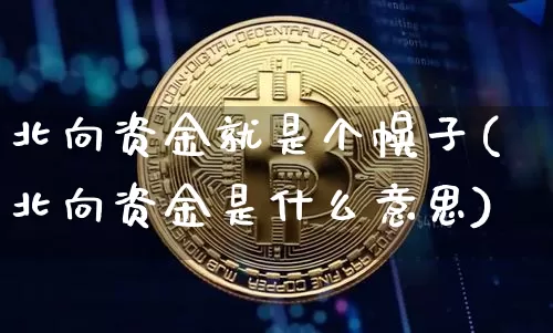 北向资金就是个幌子(北向资金是什么意思)_https://www.jyywjc.com_股票_第1张