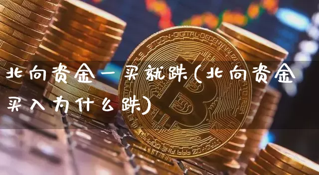 北向资金一买就跌(北向资金买入为什么跌)_https://www.jyywjc.com_股票行情_第1张