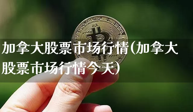 加拿大股票市场行情(加拿大股票市场行情今天)_https://www.jyywjc.com_深交所_第1张
