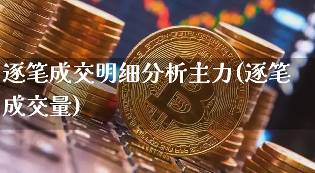 逐笔成交明细分析主力(逐笔成交量)_https://www.jyywjc.com_股票价格_第1张