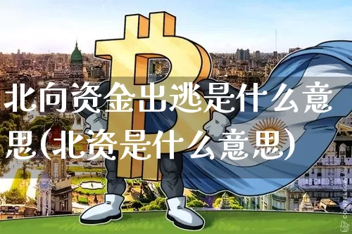 北向资金出逃是什么意思(北资是什么意思)_https://www.jyywjc.com_股票_第1张