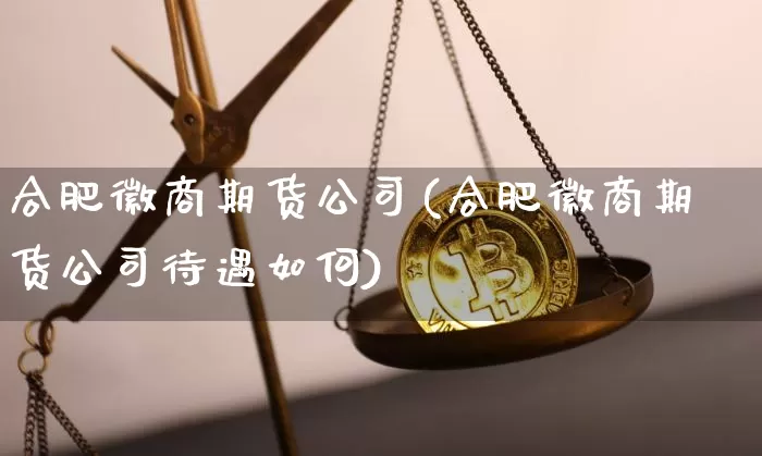 合肥徽商期货公司(合肥徽商期货公司待遇如何)_https://www.jyywjc.com_北交所_第1张