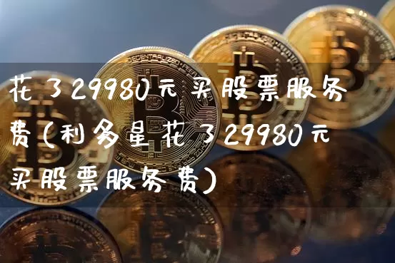 花了29980元买股票服务费(利多星花了29980元买股票服务费)_https://www.jyywjc.com_股票板块_第1张
