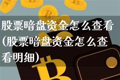 股票暗盘资金怎么查看(股票暗盘资金怎么查看明细)_https://www.jyywjc.com_股票价格_第1张