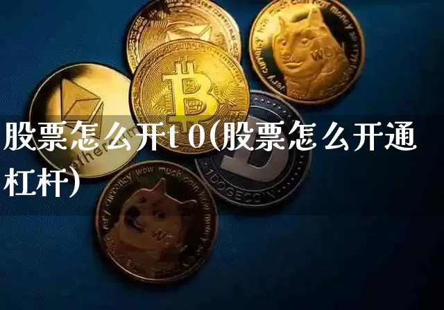 股票怎么开t 0(股票怎么开通杠杆)_https://www.jyywjc.com_股票板块_第1张
