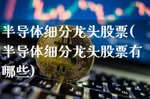 半导体细分龙头股票(半导体细分龙头股票有哪些)_https://www.jyywjc.com_股票_第1张