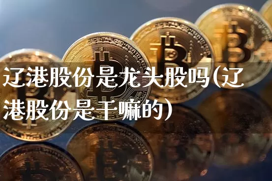 辽港股份是龙头股吗(辽港股份是干嘛的)_https://www.jyywjc.com_股票行情_第1张