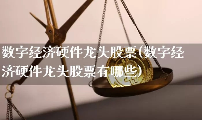 数字经济硬件龙头股票(数字经济硬件龙头股票有哪些)_https://www.jyywjc.com_股票行情_第1张