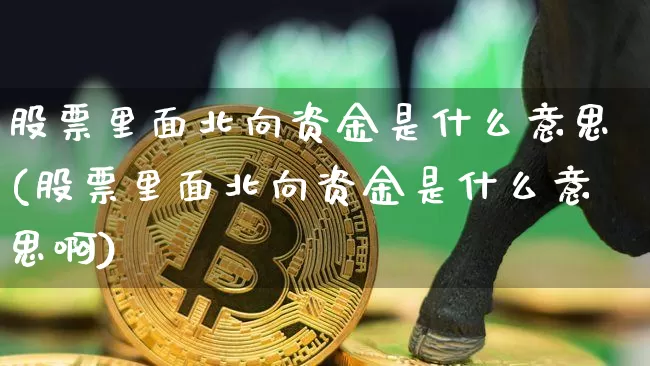 股票里面北向资金是什么意思(股票里面北向资金是什么意思啊)_https://www.jyywjc.com_股票板块_第1张