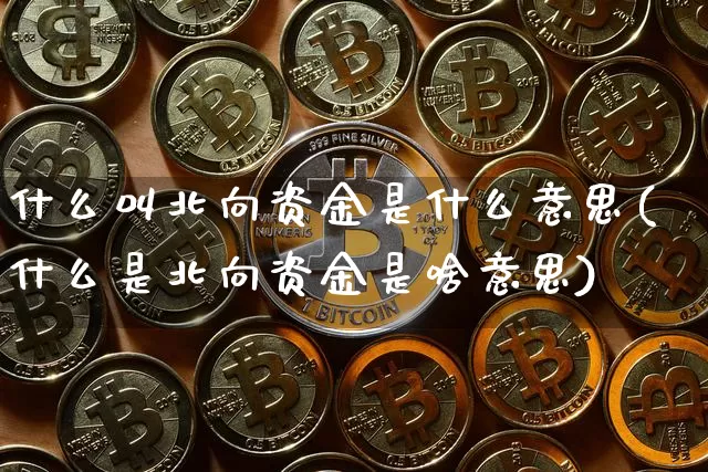 什么叫北向资金是什么意思(什么是北向资金是啥意思)_https://www.jyywjc.com_股票趋势_第1张
