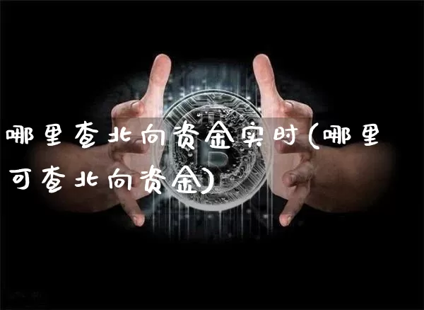 哪里查北向资金实时(哪里可查北向资金)_https://www.jyywjc.com_股票板块_第1张