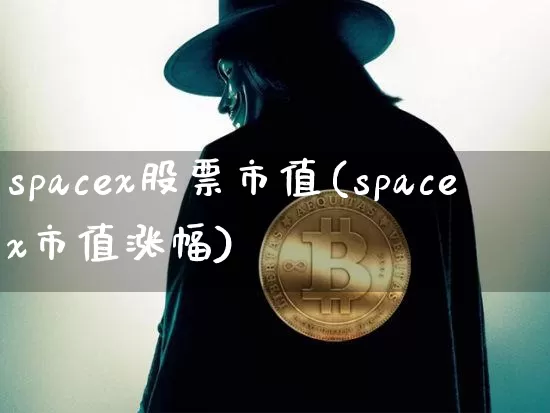 spacex股票市值(spacex市值涨幅)_https://www.jyywjc.com_股票板块_第1张