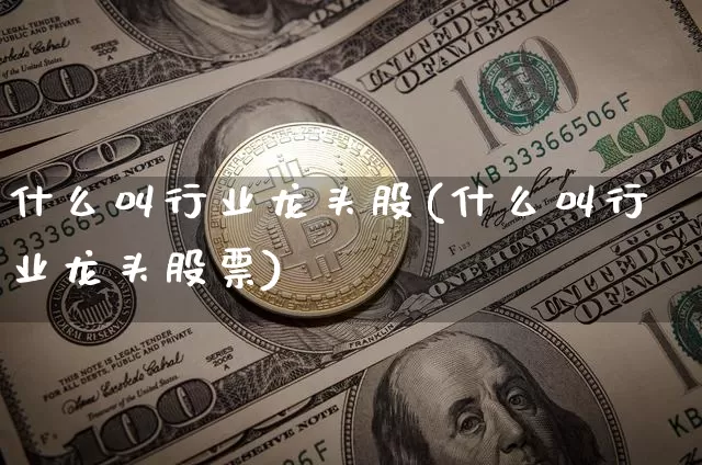 什么叫行业龙头股(什么叫行业龙头股票)_https://www.jyywjc.com_股票板块_第1张