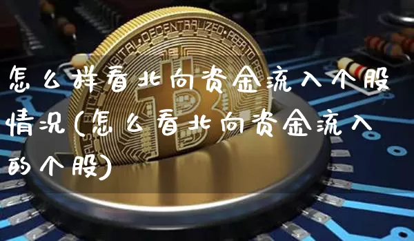 怎么样看北向资金流入个股情况(怎么看北向资金流入的个股)_https://www.jyywjc.com_股票行情_第1张