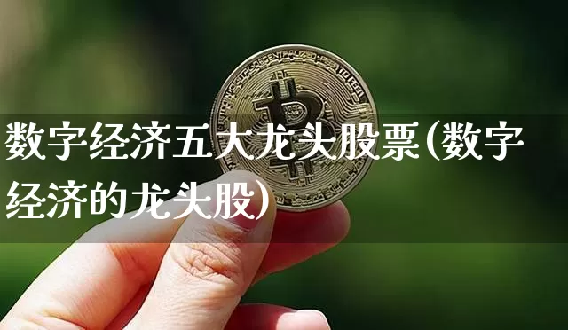 数字经济五大龙头股票(数字经济的龙头股)_https://www.jyywjc.com_股票板块_第1张